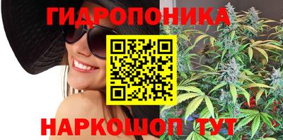 индика Ипатово