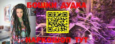 индика Ипатово