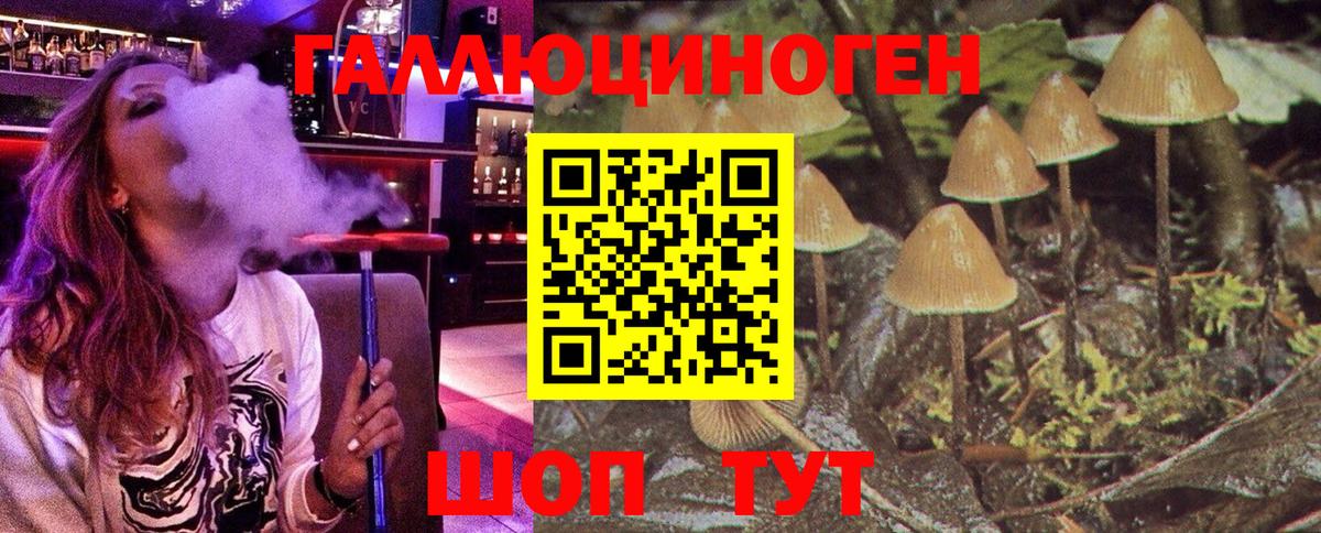 Галлюциногенные грибы прущие грибы  Вход с VPN  Псилоцибиновые грибы GOLDEN TEACHER  Михайловск 